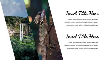 Jungle Simple Google Slides Templates_25