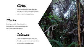 Jungle Simple Google Slides Templates_26