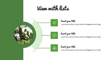 Jungle Simple Google Slides Templates_27