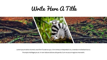 Jungle Simple Google Slides Templates_28