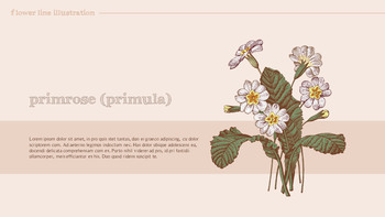 花图 高级PowerPoint模板_09