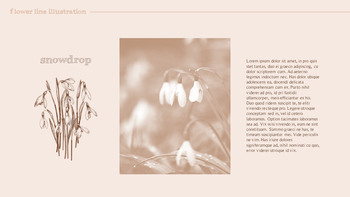 花图 高级PowerPoint模板_12