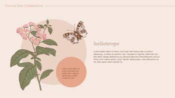 花图 高级PowerPoint模板_15