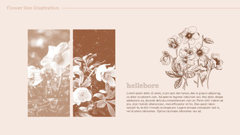 花图 高级PowerPoint模板_16