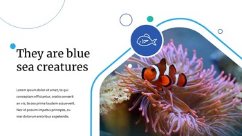 Sea Creatures Easy Slides Design_04