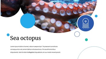 Créatures de la mer Conception de diapositives facile_09