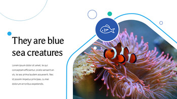 海洋生物 PowerPoint的模板_04