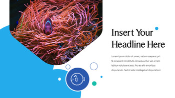 海洋生物 PowerPoint的模板_26