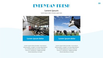 Dairy Farming Google Slides Presentation Templates_09