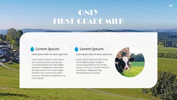 Dairy Farming Google Slides Presentation Templates_10