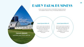 Dairy Farming Google Slides Presentation Templates_16