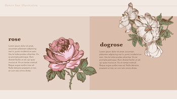 Flower Illustration PPT Keynote