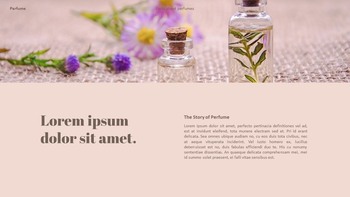 花の香水 PowerPointのテンプレート_18