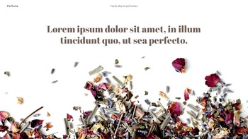 花の香水 PowerPointのテンプレート_19