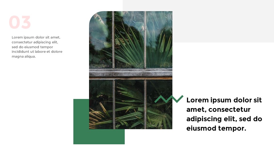 Plants Google Slides Templates for Your Next Presentation