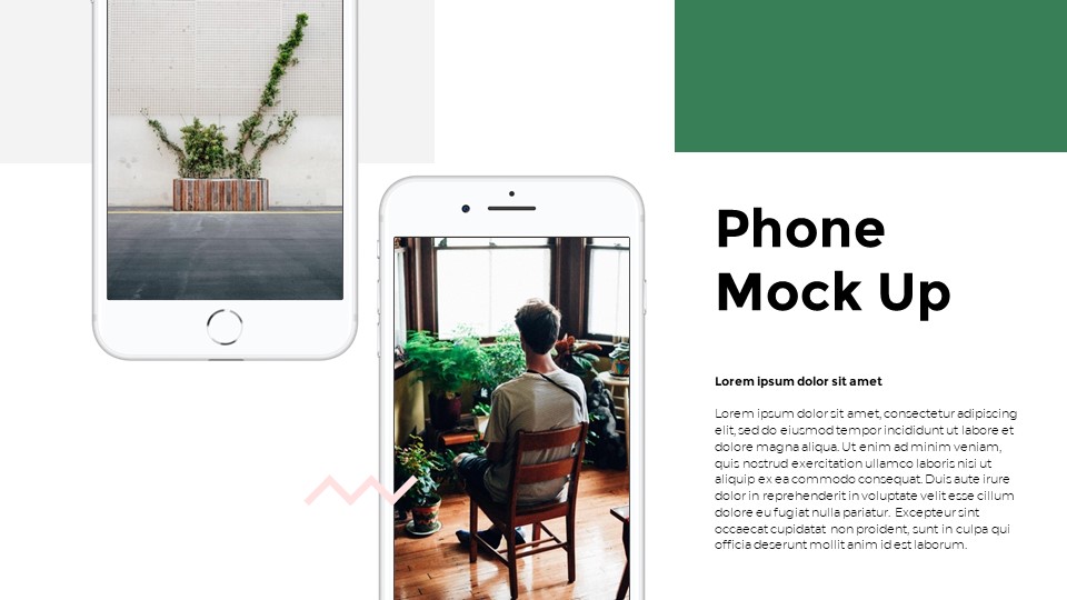 Plants Google Slides Templates for Your Next Presentation