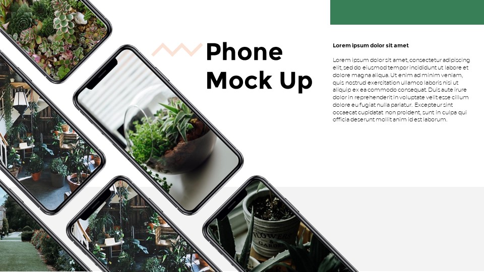 Plants Google Slides Templates for Your Next Presentation