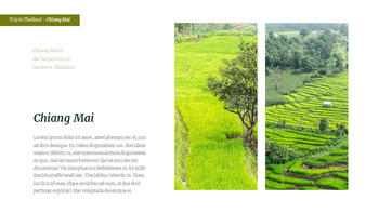 前往泰国 简单的模板_23