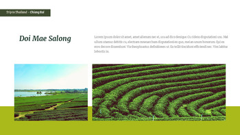 前往泰国 简单的模板_34