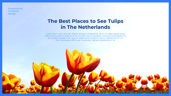 네덜란드 창의적인 파워포인트 프레젠테이션_12