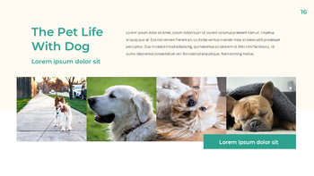 Pet Life Google Slides Modelli per la tua prossima presentazione_16