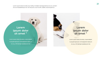 Pet Life Google Slides Modelli per la tua prossima presentazione_21