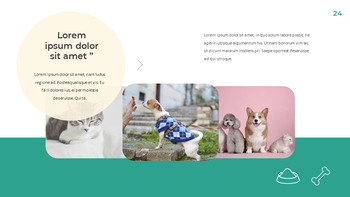 Pet Life Google Slides Modelli per la tua prossima presentazione_24