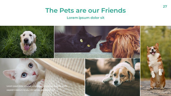 Pet Life Google Slides Modelli per la tua prossima presentazione_27