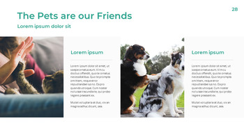 Pet Life Google Slides Templates for Your Next Presentation_28