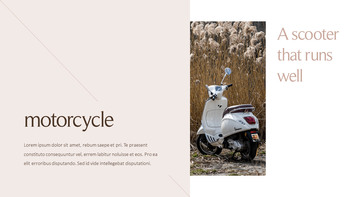 小型摩托车 行动计划PPT._15