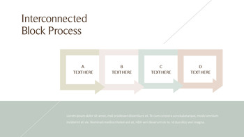 小型摩托车 行动计划PPT._24