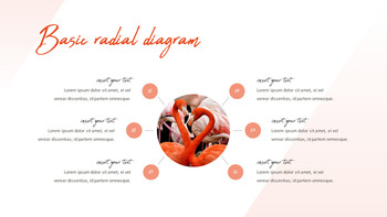 火烈鸟 最好的ppt模板_24