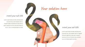 Flamingo Google Slides Presentation_09