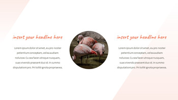 Flamingo Google Slides Presentation_25