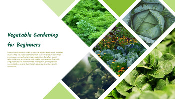 Gardening Simple Google Presentation_16