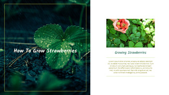 Gardening Simple Google Presentation_25