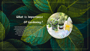 园艺 简单的ppt模板_15