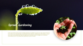 园艺 简单的ppt模板_24