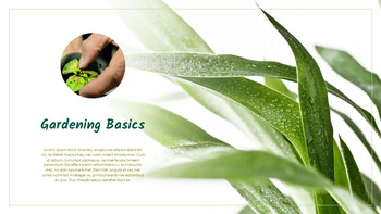 园艺 简单的ppt模板_28