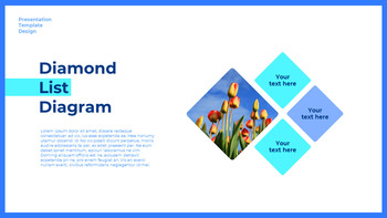 네덜란드 창의적인 파워포인트 프레젠테이션_35