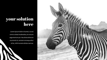 zebra Google Slides Presentation_07