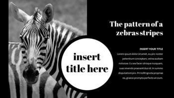 Zebra Google Slides Präsentation_11