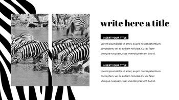 zebra Google Slides Presentation_12