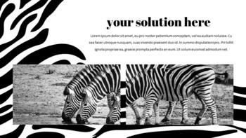 zebra Google Slides Presentation_14