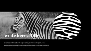 zebra Presentazione delle diapositive di Google_19