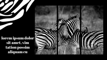 zebra Google Slides Presentation_26