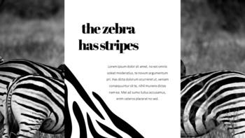 얼룩말 스타트업 PPT 템플릿_04