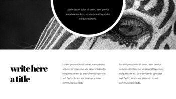 얼룩말 스타트업 PPT 템플릿_06