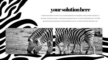 얼룩말 스타트업 PPT 템플릿_14