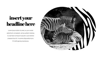 얼룩말 스타트업 PPT 템플릿_15